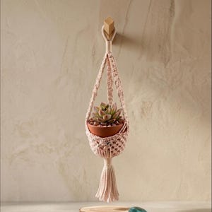 May include: A hanging macrame plant holder in a soft pink hue, suspended from a wooden peg. The holder cradles a small terracotta pot with a succulent plant. A wooden disc and a blue stone are at the base.