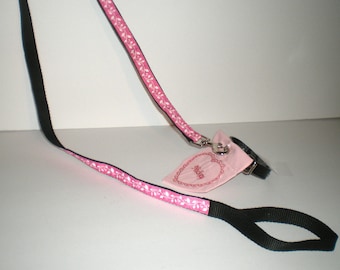 Dog leash, pet leash, dog collar, pet collar, dog safety, pet safety, dog accessories,