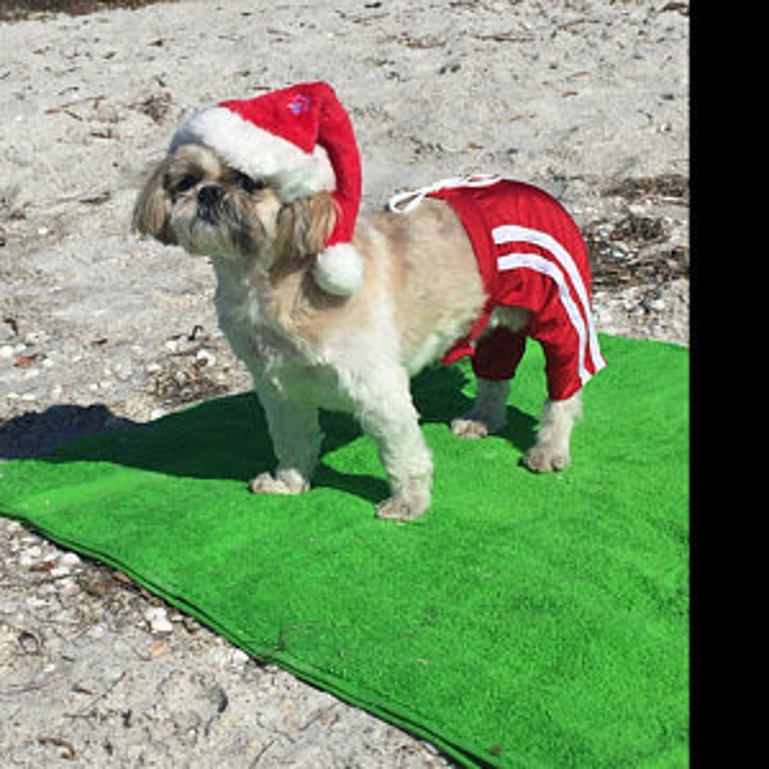 i used to dress my dog in shorts in spanish DOG SHORTS, Dog Red SHORTS, Dog Wear, Summer Beach Clothes, Dog Summer  Clothes
