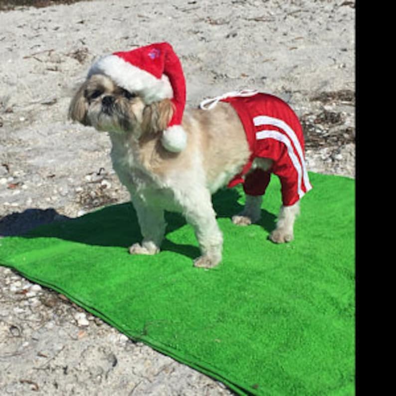 DOG SWIMMING TRUNKS Dog Red Swim Trunks Dog swimm wear | Etsy