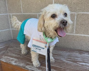 Dog Halloween Costume,  "Doctor" Dog Costume, Halloween For Pets,