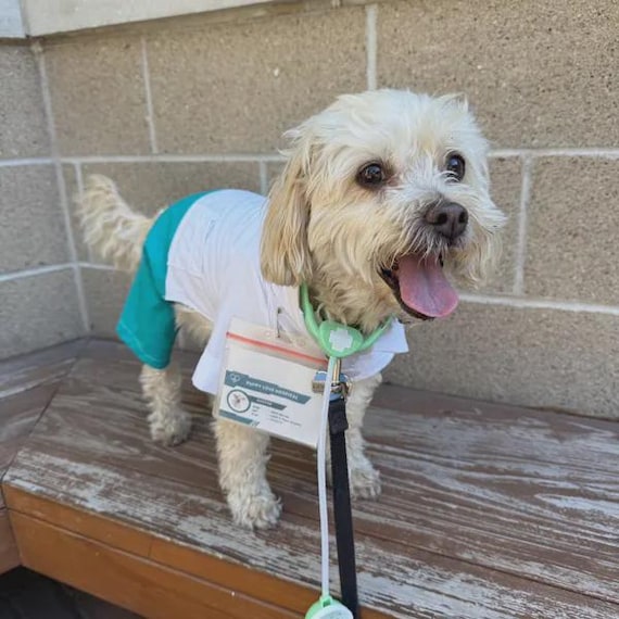 Dog Halloween Costume,  "Doctor" Dog Costume, Halloween For Pets,