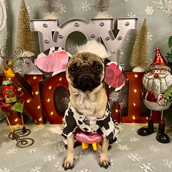 Halloween/Christmas Funny Pet Dog/Cat Santa Claus Carry Christmas Present  Costume Pet Dog Party Jumpsuit Clothes