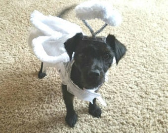 Dog Costume,  "Angel" Dog Costume, Halloween For Pets,