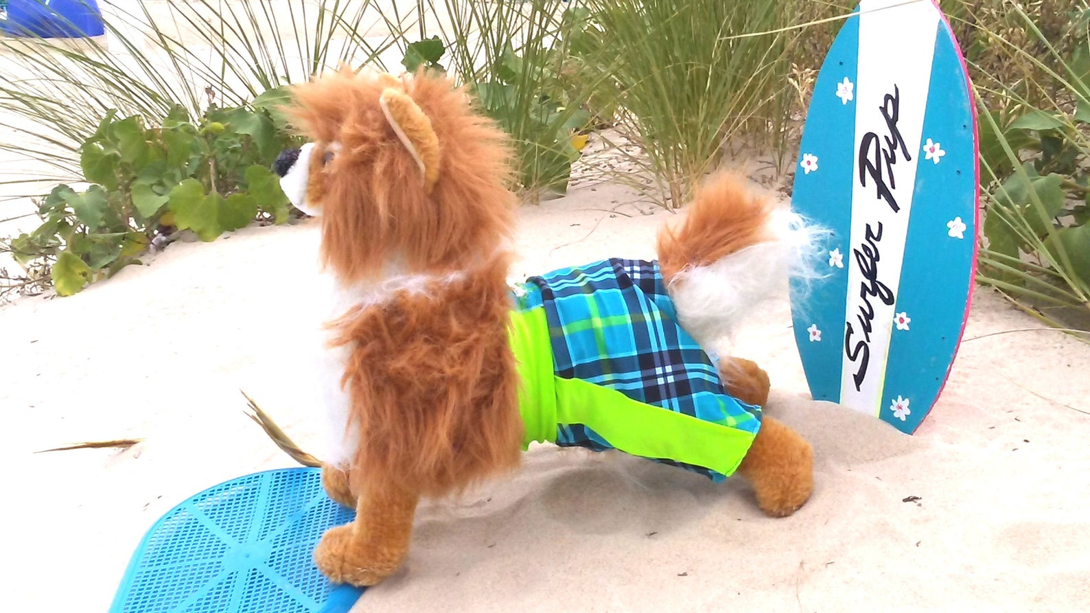 Dog Swimming Trunks, Pet Swimming Trunks, Dog Shorts, Pet Shorts, Dog Clothes, Etsy