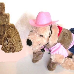 DOG HALLOWEEN COSTUME , cow girl Dog Costume, Halloween For Pets, Pet Costume image 4