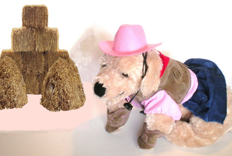 DOG HALLOWEEN COSTUME , cow girl Dog Costume, Halloween For Pets, Pet Costume image 4