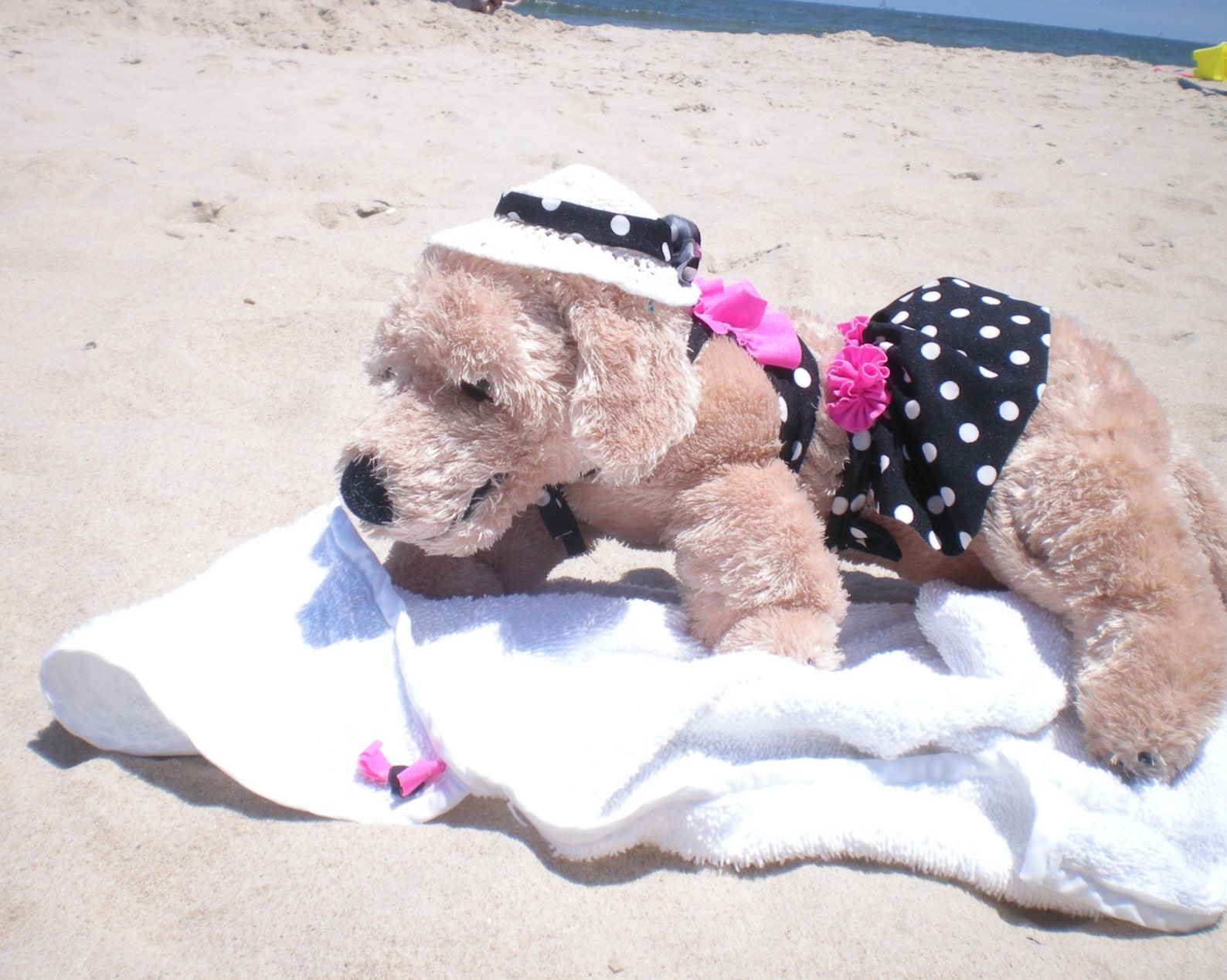 DOG BIKINI Dog Polka Dotty Ruffles Bikini Dog Swimm Wear Etsy