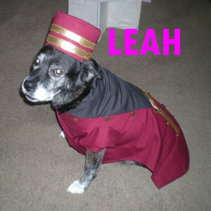 May include: A black and white dog wearing a burgundy and black costume with gold accents and a matching hat. The word "LEAH" is displayed in bright pink letters.