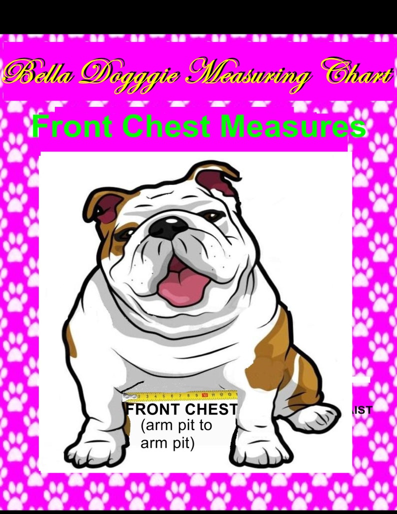 Puede incluir: Un gr&aacute;fico de medici&oacute;n para perros con un bulldog de dibujos animados. El gr&aacute;fico muestra "Front Chest Measures" y "Front Chest (axila a axila)". El fondo es rosa con huellas de patas. El bulldog tiene marcas blancas, marrones y negras.