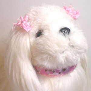 Dog collar, Pet collar, Dog leash, Dog harness, Dog accessories