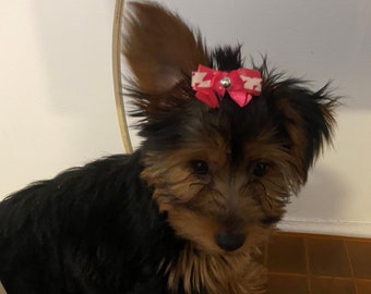 Dog hair pins, dog hair bows, pet bows, pet hair pins, dog hair fashion