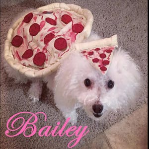 Dog Pizza Costume, Pet costume, Dog Costume, Pizza Costume, Dog Halloween, Dog Halloween Costume