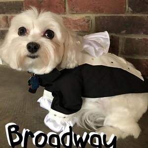 Puede incluir: Un perro blanco vestido con un esmoquin blanco y negro con cuello y pu&ntilde;os con volantes. La palabra "Broadway" est&aacute; escrita en escritura blanca en la parte inferior de la imagen. El perro tiene una etiqueta azul en su collar.