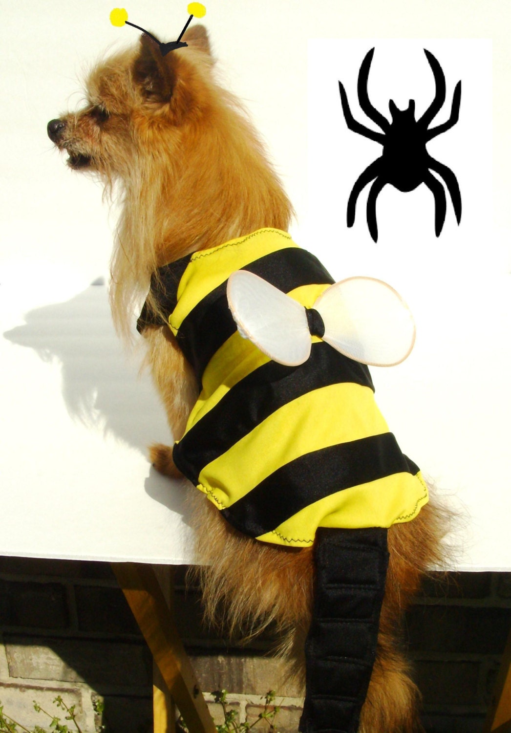 Diy Dog Bee Costume ubicaciondepersonas.cdmx.gob.mx