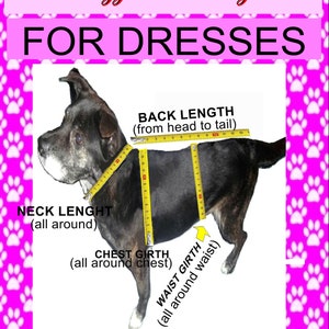 May include: Diagram showing how to measure a dog for a dress. The diagram shows a black dog with a yellow measuring tape around its neck, chest, and waist. The text on the diagram reads "Back Length (from head to tail)", "Neck Length (all around)", "Chest Girth (all around chest)", and "Waist Girth (all around waist)".