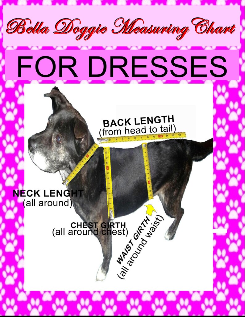 May include: Diagram showing how to measure a dog for a dress. The diagram shows a black dog with a yellow measuring tape around its neck, chest, and waist. The text on the diagram reads "Back Length (from head to tail)", "Neck Length (all around)", "Chest Girth (all around chest)", and "Waist Girth (all around waist)".