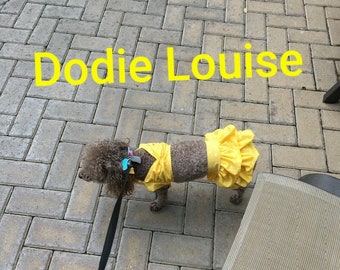 Yellow Polka Dot Bikini, Dog bikini, Dog yellow polka dot bikini, Dog bathing suit, Dog beach clothes