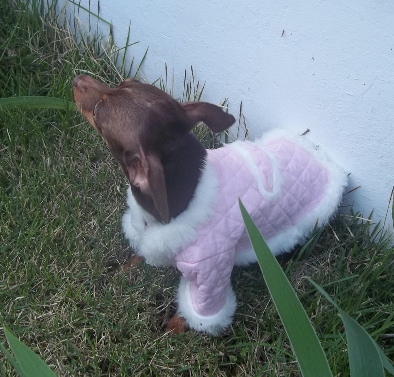 Pet Coat Pink quilted Pet Coat, Quilted queen Dog Coat Dog Coat Dog clothes