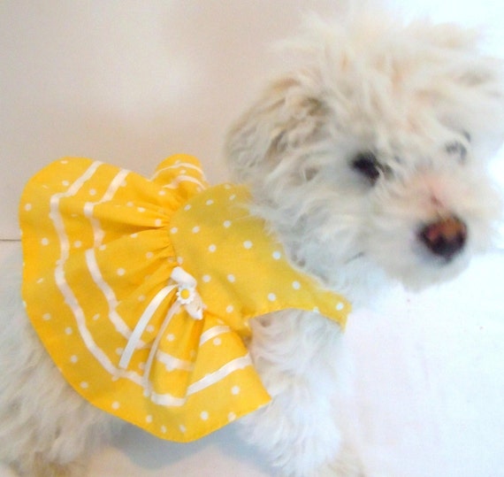 Dog Dress Pet Dress Yellow Dog Dress Yellow Pet Dress Dog 