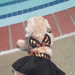 May include: A plush toy dog wearing a black skirt and a butterfly-patterned swimsuit. The dog is sitting on a concrete surface near a swimming pool.