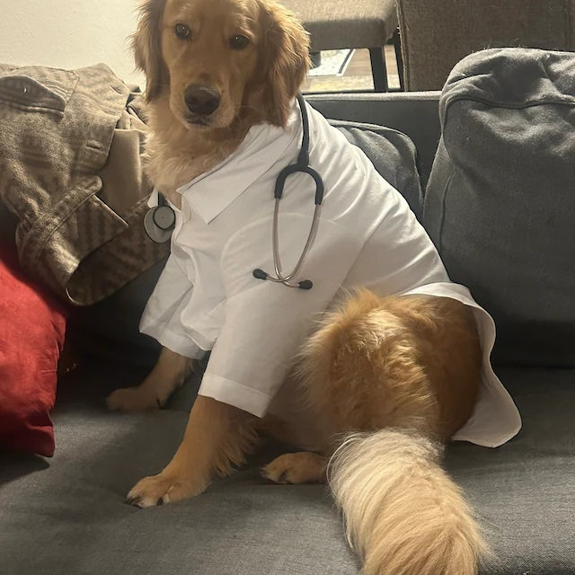 Dog clearance lab coat