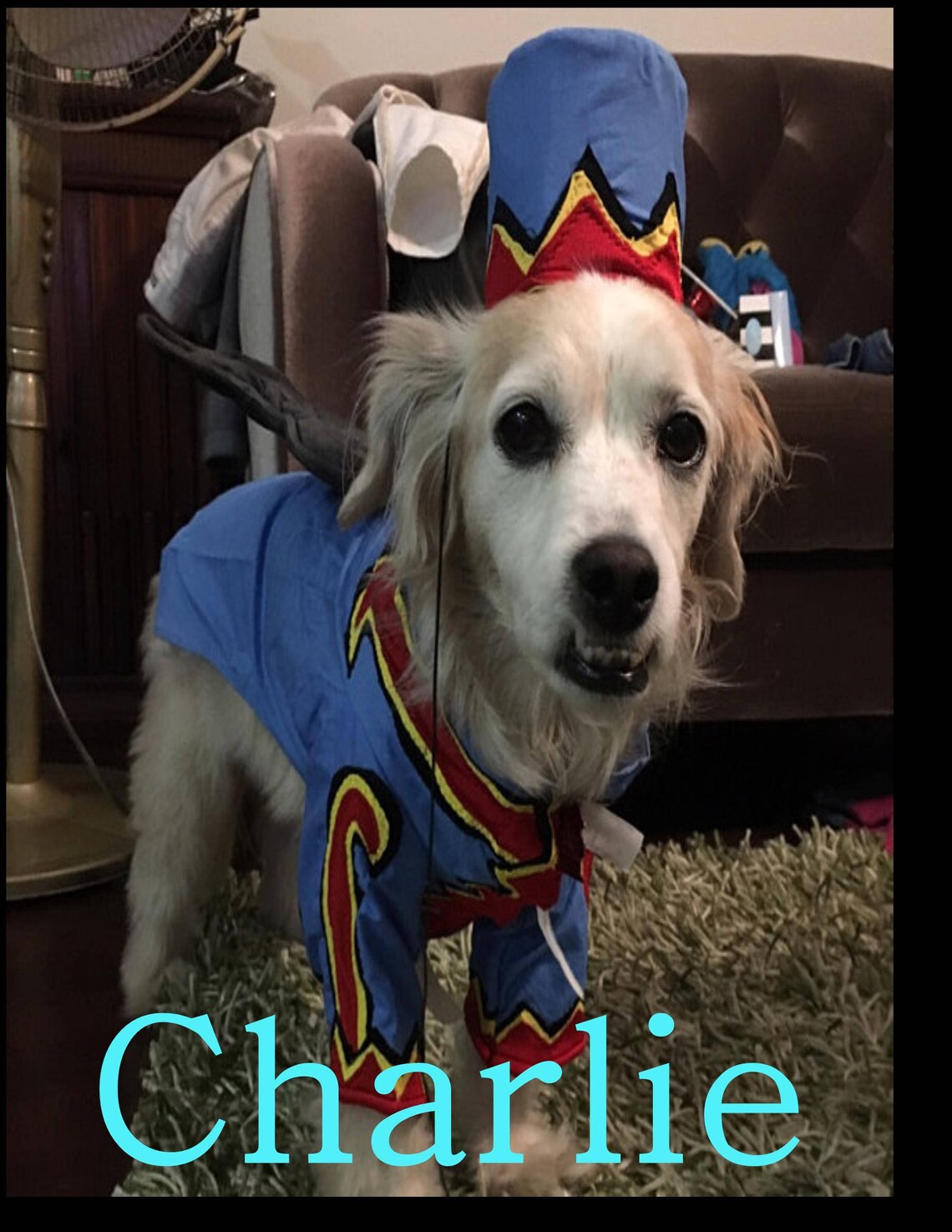 Dog Halloween Costume Dog Flying Monkey Costume the Wizard Etsy