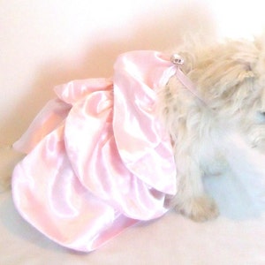 May include: A small white dog wearing a pink satin dress with ruffles. The dress has a small rhinestone embellishment.