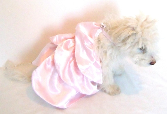 Dog Dress, Special occasion Dog Dress, Fancy Dog Dress, "pretty in pink"