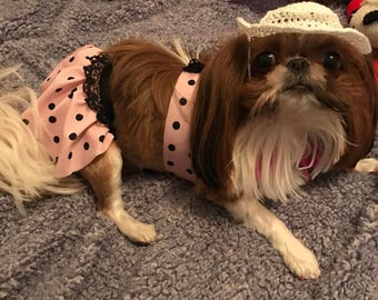 Polka Dot Dog Tankini, Lace Trim, Crochet Hat, USA Made