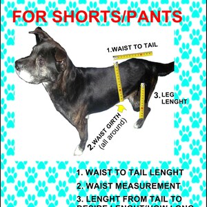 Dog shorts, Pet shorts, Dog summer clothes, Dog clothes, Pet clothes image 7