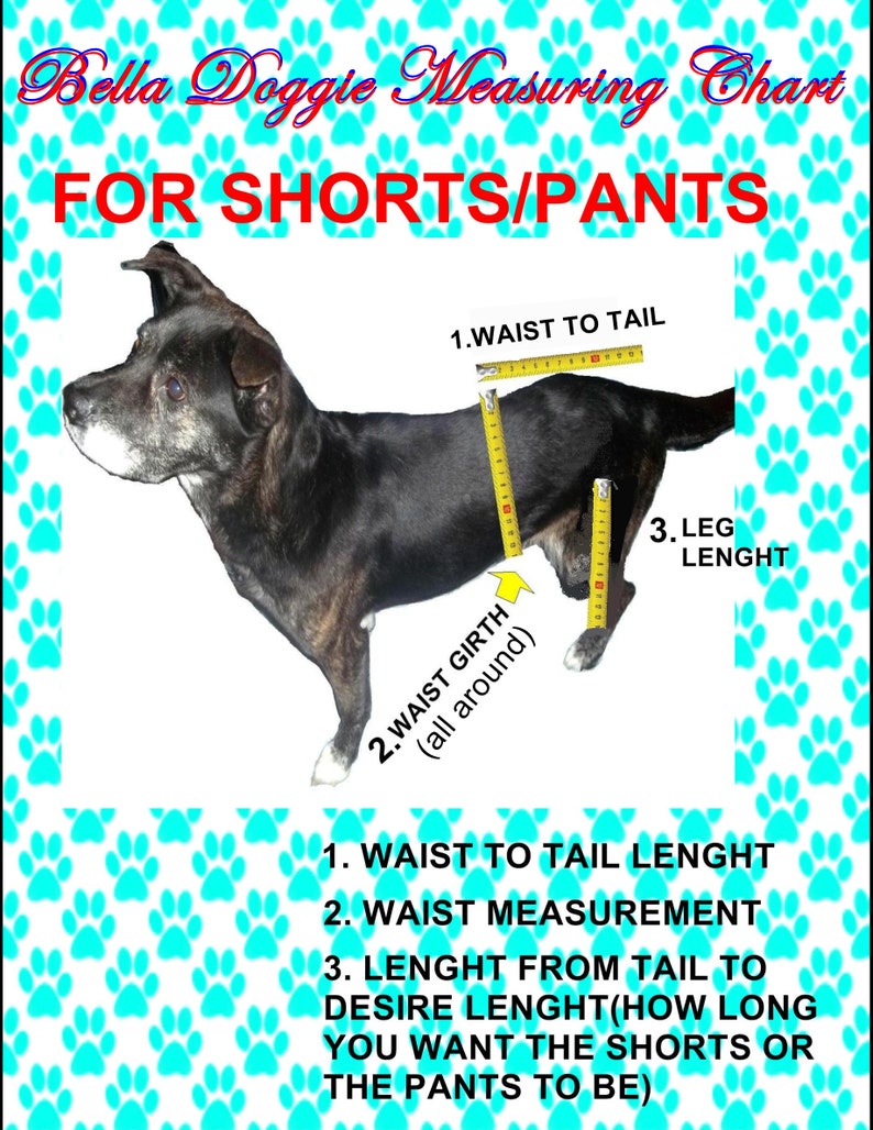 Dog shorts, Pet shorts, Dog summer clothes, Dog clothes, Pet clothes image 7
