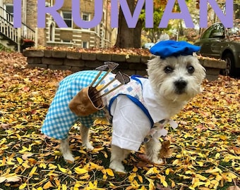 Dog Costume, Dog Golfer Costume, Halloween Dog Costume, dog clothes, pet clothes, dog golf