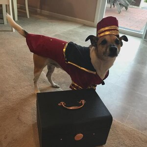 May include: A small dog wearing a red and black bellhop costume with gold trim and a matching hat. The dog stands next to a black suitcase with a gold handle and a round gold accent.