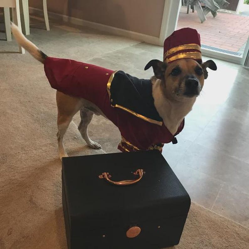 May include: A small dog wearing a red and black bellhop costume with gold trim and a matching hat. The dog stands next to a black suitcase with a gold handle and a round gold accent.