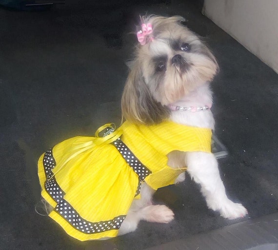 Dog Dress Pet Dress Yellow Dog Dress Yellow Pet Dress Dog 