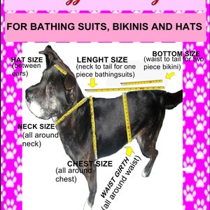 May include: A black dog with yellow measuring tape around its body. The image shows how to measure a dog for a bathing suit, bikini, or hat. The measurements include hat size, neck size, chest size, waist girth, and length size.
