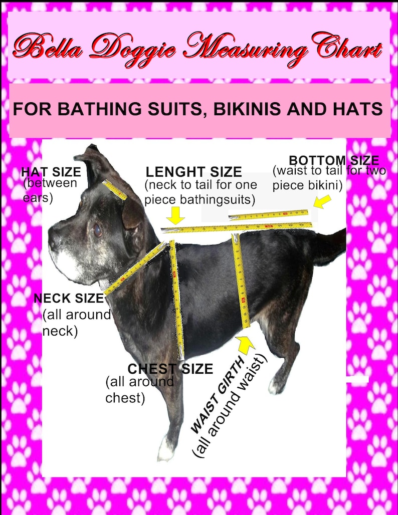 May include: A black dog with yellow measuring tape around its body. The image shows how to measure a dog for a bathing suit, bikini, or hat. The measurements include hat size, neck size, chest size, waist girth, and length size.