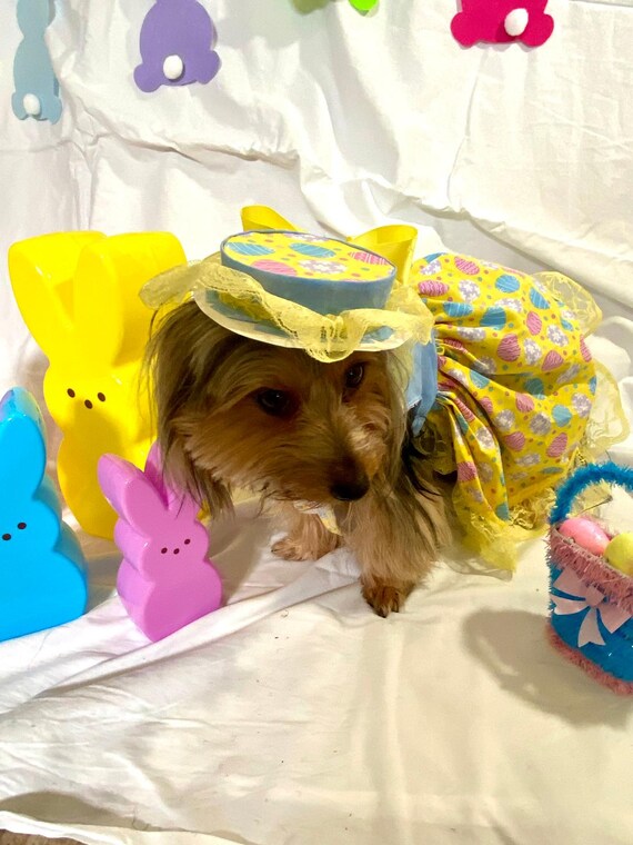 Dog Easter Dress, Pet Easter Dress, Pet Dress, Dog Dress, Pet