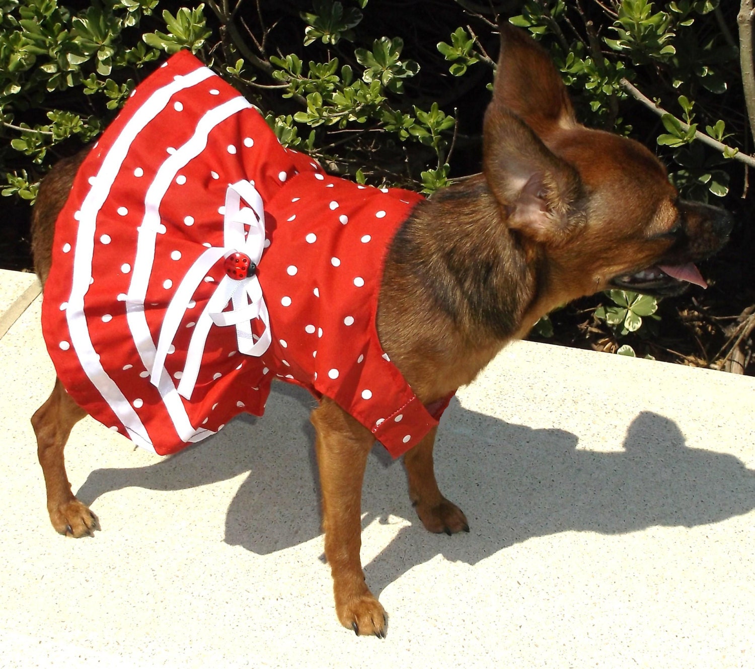 Dog Dress Dog Clothes Pet Dress Pet Clothes Dog Red Dress Etsy