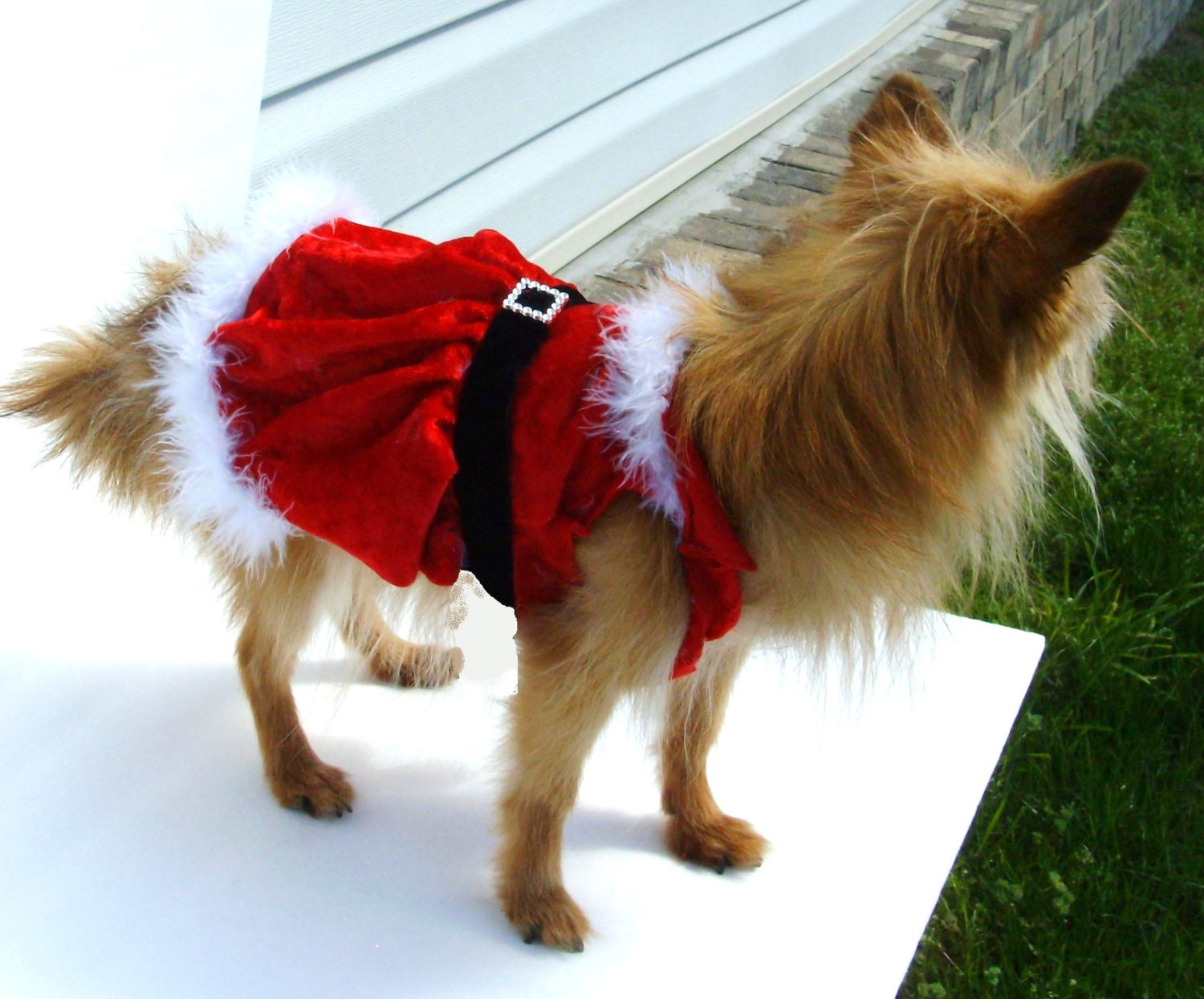 Dog Christmas Dress Santa Girl Pet Dress Dog Dress Dog Etsy