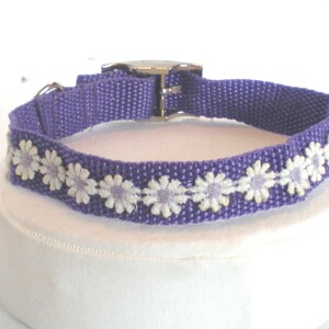 Dog collar, Pet collar, Dog leash, Pet leash, Dog harness, Pet harness