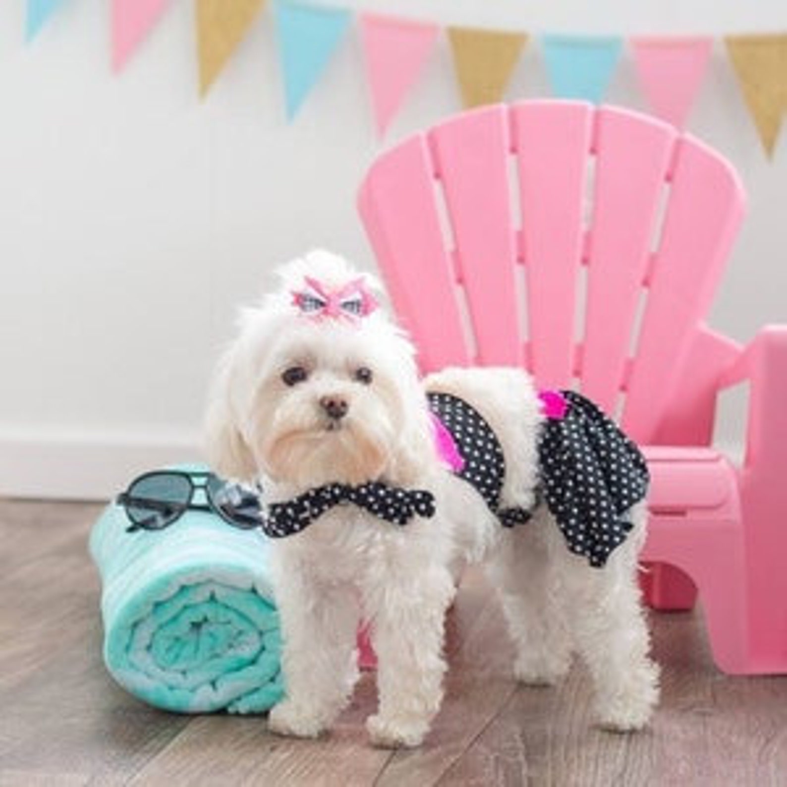 DOG BIKINI Dog Polka Dotty Ruffles Bikini Dog Swimm Wear Etsy