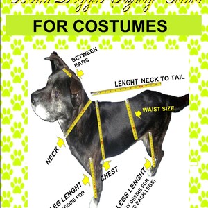May include: A dog costume sizing chart with a black dog as a model. The chart includes measurements for neck, chest, waist, and leg lengths, with text labels like "Between Ears" and "Length Neck to Tail". The background is white with green paw prints.