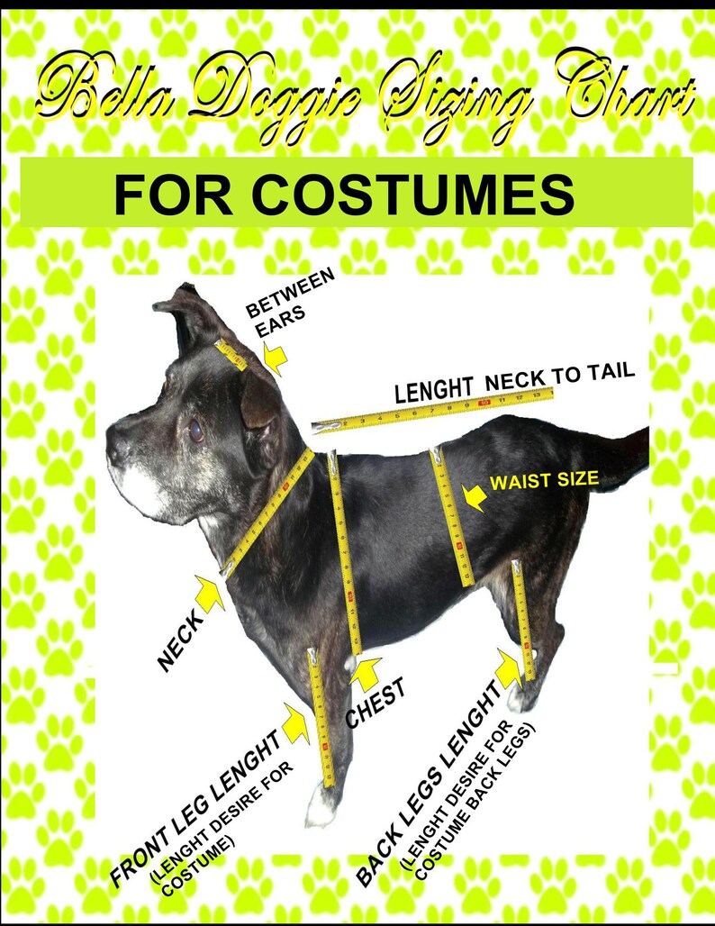 May include: A dog costume sizing chart with a black dog as a model. The chart includes measurements for neck, chest, waist, and leg lengths, with text labels like "Between Ears" and "Length Neck to Tail". The background is white with green paw prints.