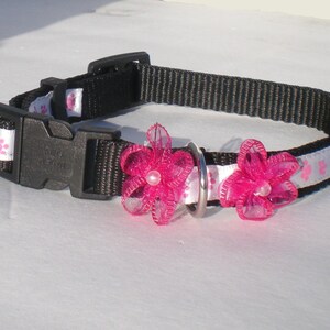 Dog collar, Pet collar, Dog leash, Pet leash, Dog harness, Pet harness