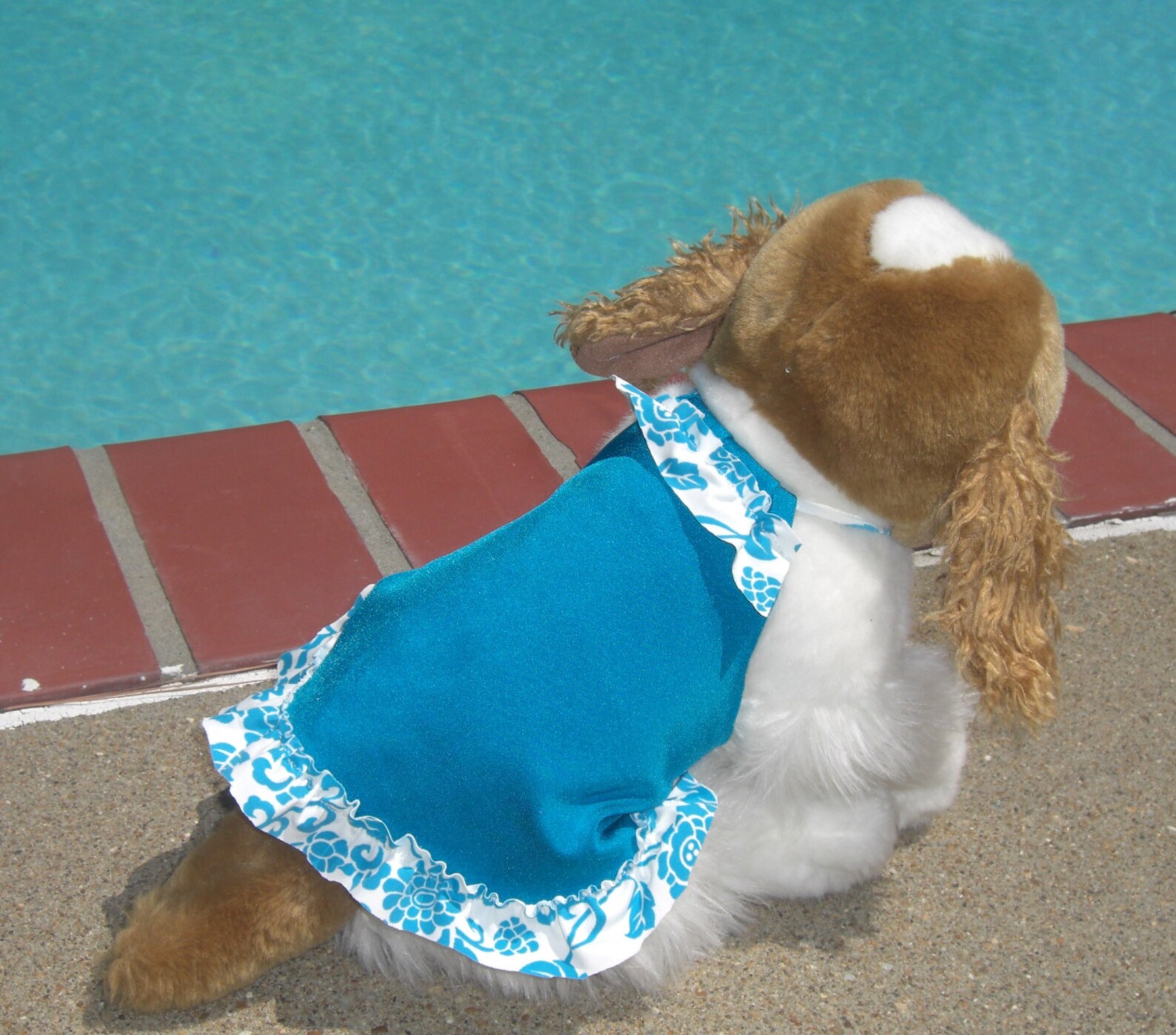 DOG BATHING SUIT Dog Aqua Bathing Suit Dog swim wear Summer Etsy