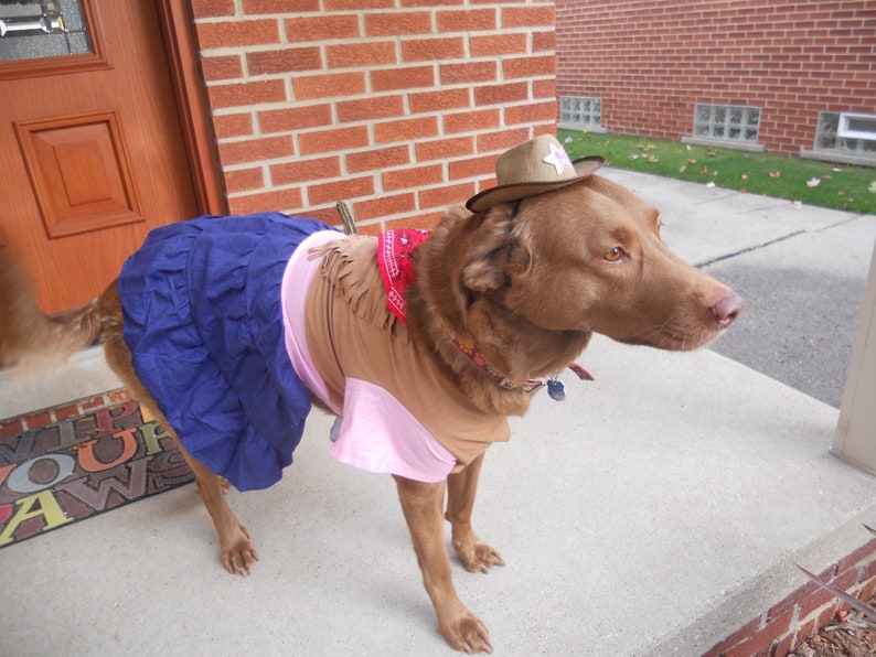 DOG HALLOWEEN COSTUME , cow girl Dog Costume, Halloween For Pets, Pet Costume XXXLG