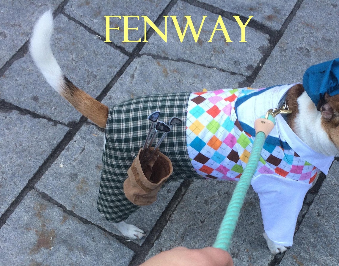 Dog Costume Dog Golfer Costume Halloween Dog Costume dog Etsy