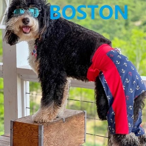 Dog shorts, Pet shorts, Dog summer clothes, Dog clothes, Pet clothes XXXLG